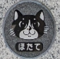 ロッカー式 集合墓