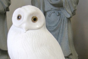 original_img008