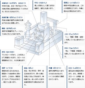 structure_img001